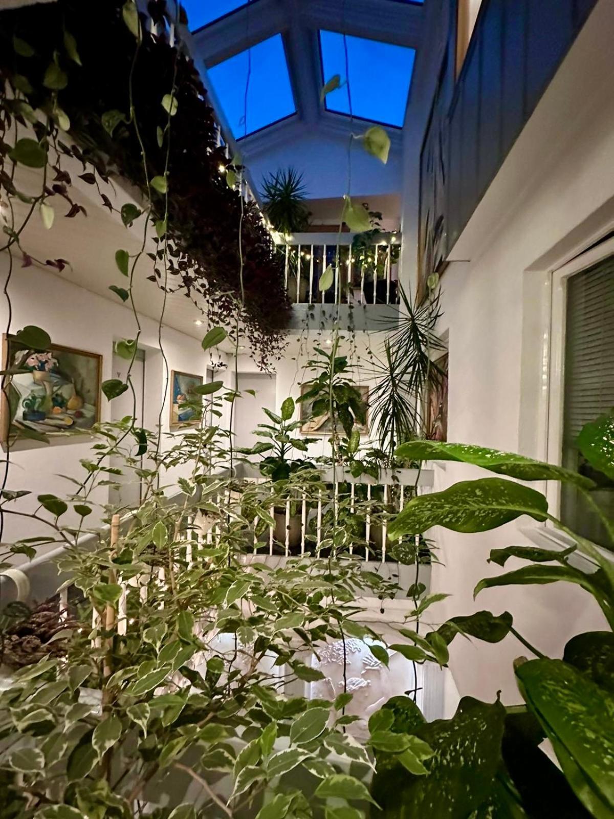 Villa Helvetia Târgu-Mureş Dış mekan fotoğraf