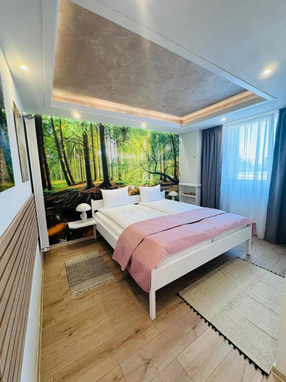 Villa Helvetia Târgu-Mureş Dış mekan fotoğraf